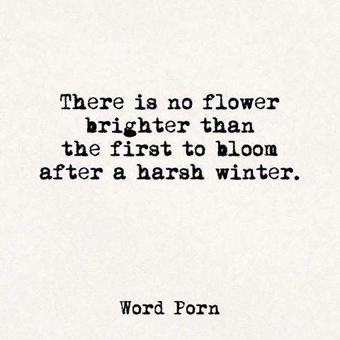 No flower