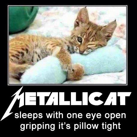 Metallicat